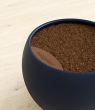 Load image into Gallery viewer, -