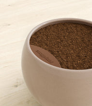 Lade das Bild in den Galerie-Viewer, Desert Brown stand:all