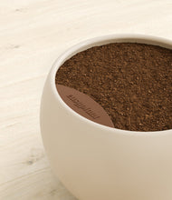 Load image into Gallery viewer, -