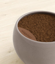 Load image into Gallery viewer, -