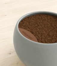 Load image into Gallery viewer, -