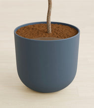 Load image into Gallery viewer, Iron Gray stand:all