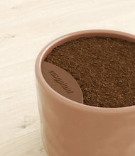 Load image into Gallery viewer, -