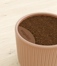 Charger l'image dans la galerie, Striped Peach Pink stand:all
