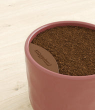 Load image into Gallery viewer, -