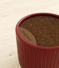 Charger l'image dans la galerie, Striped Cherry Red stand:all