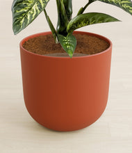 Load image into Gallery viewer, Earth Red stand:all