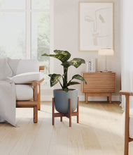 Load image into Gallery viewer, Iron Gray stand:walnut