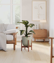 Load image into Gallery viewer, Sage Green stand:walnut