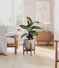 Charger l'image dans la galerie, Sage Green stand:dark