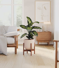 Charger l'image dans la galerie, Sandy Pink stand:dark