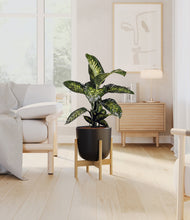 Charger l'image dans la galerie, Stone Black stand:light