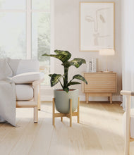Load image into Gallery viewer, Sage Green stand:bamboo