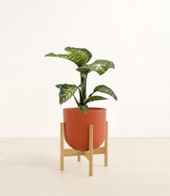 Load image into Gallery viewer, Earth Red stand:bamboo