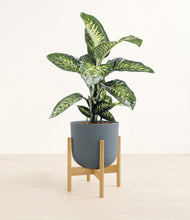 Charger l'image dans la galerie, Iron Gray stand:light