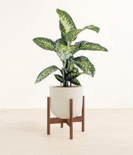 Charger l'image dans la galerie, Natural Bamboo stand:dark