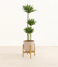 Load image into Gallery viewer, Sandy Pink stand:bamboo