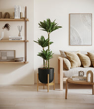 Load image into Gallery viewer, Stone Black stand:bamboo