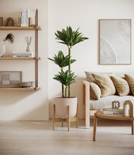 Load image into Gallery viewer, Sandy Pink stand:bamboo