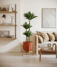 Load image into Gallery viewer, Earth Red stand:bamboo