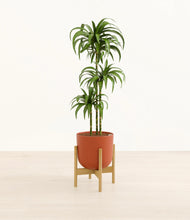 Load image into Gallery viewer, Earth Red stand:bamboo