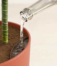 Load image into Gallery viewer, Earth Red stand:all