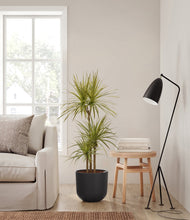 Load image into Gallery viewer, Stone Black