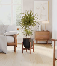 Load image into Gallery viewer, Stone Black stand:walnut