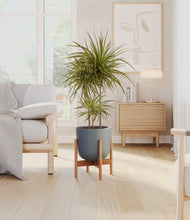 Load image into Gallery viewer, Iron Gray stand:bamboo