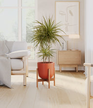 Load image into Gallery viewer, Earth Red stand:bamboo