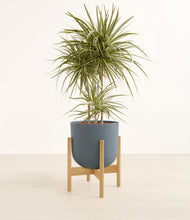 Load image into Gallery viewer, Iron Gray stand:bamboo