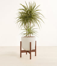 Load image into Gallery viewer, Natural Bamboo stand:walnut
