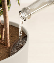 Load image into Gallery viewer, Natural Bamboo stand:all