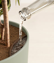 Load image into Gallery viewer, Sage Green stand:all