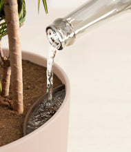 Load image into Gallery viewer, Sandy Pink stand:all