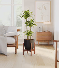 Load image into Gallery viewer, Stone Black stand:walnut