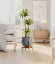 Load image into Gallery viewer, Iron Gray stand:bamboo