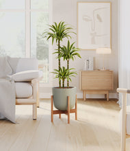 Load image into Gallery viewer, Sage Green stand:bamboo