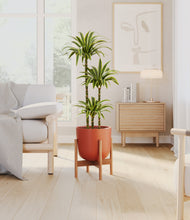 Load image into Gallery viewer, Earth Red stand:bamboo