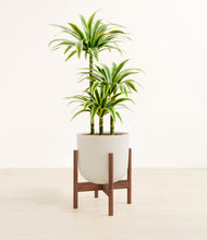 Load image into Gallery viewer, Natural Bamboo stand:walnut
