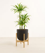Load image into Gallery viewer, Stone Black stand:bamboo
