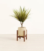 Charger l'image dans la galerie, Almond Green stand:dark