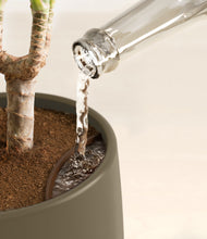 Charger l'image dans la galerie, Olive stand:all
