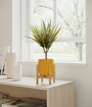 Charger l'image dans la galerie, Mustard stand:light
