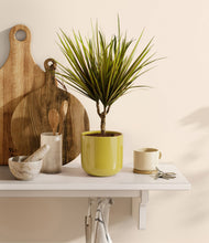 Charger l'image dans la galerie, Key Lime Yellow