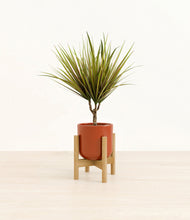 Charger l'image dans la galerie, Glossy Red stand:light