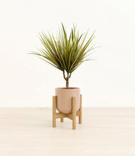 Charger l'image dans la galerie, Glossy Pink stand:light