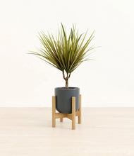 Charger l'image dans la galerie, Iron Gray stand:light