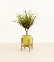 Charger l'image dans la galerie, Key Lime Yellow stand:light