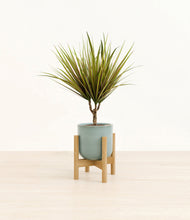 Charger l'image dans la galerie, Reactive Aqua stand:light